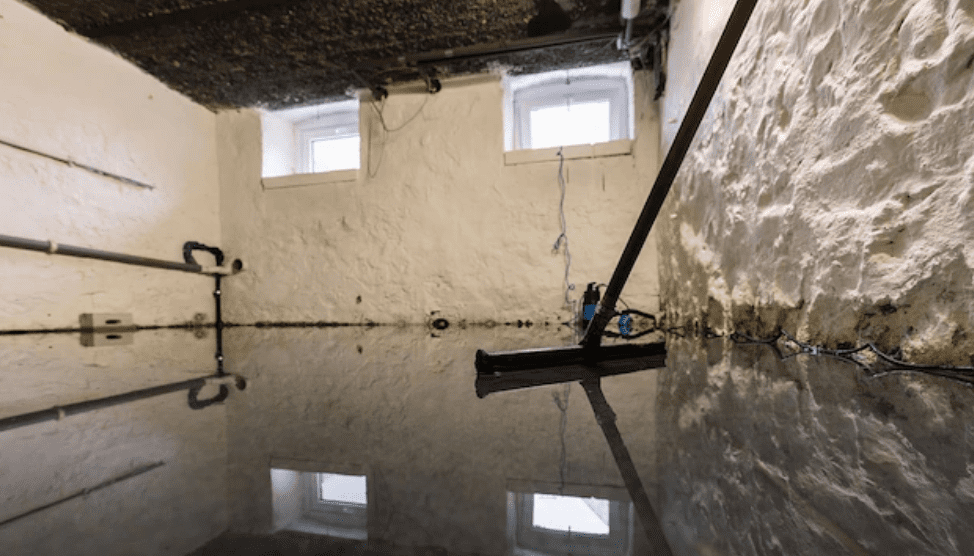 What You Need to Know When it Comes to Water Damage and Mold