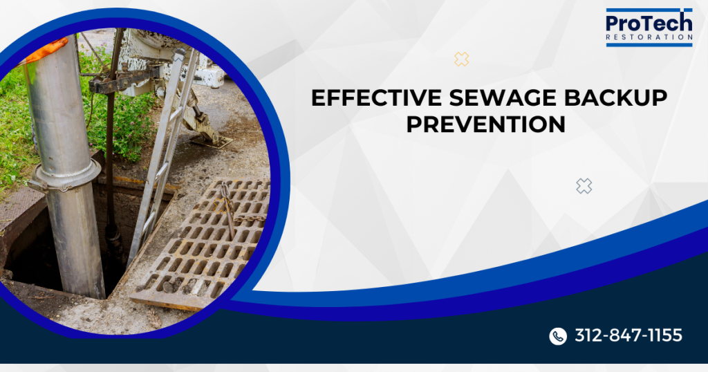 Sewage Cleanup Procedures