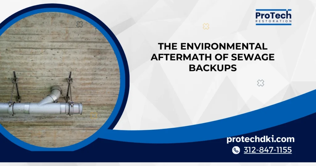 A Homeowner’s Guide to the Environmental Aftermath of Sewage Backups