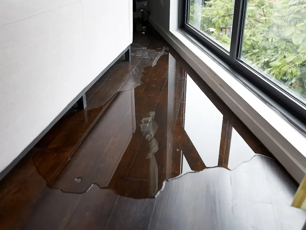 water damage on the floor
