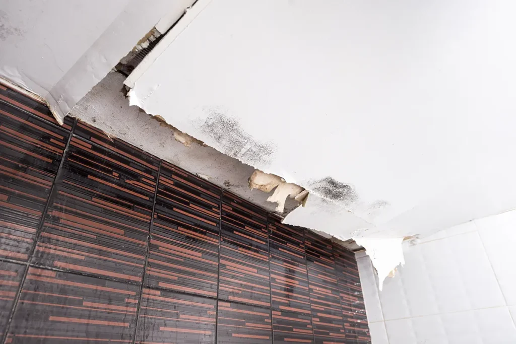 Water Removal and Damage Restoration