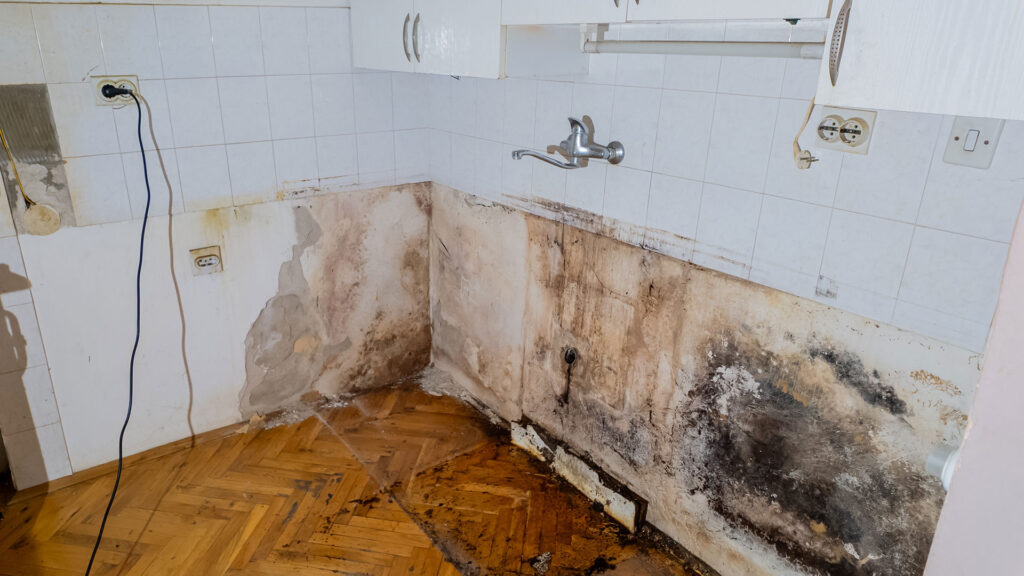 Mold and Water Damage Repair