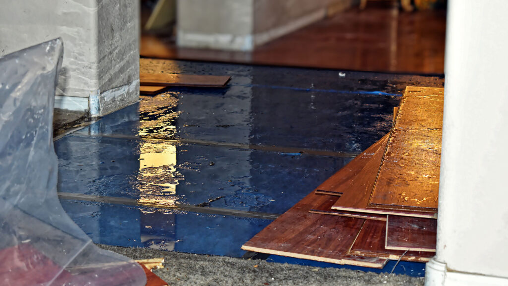 Water Damaged Home in Chicago Area